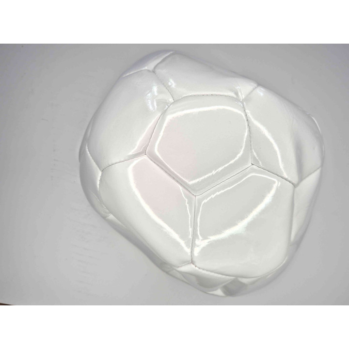 Futbalová lopta, Veľkosť 5
